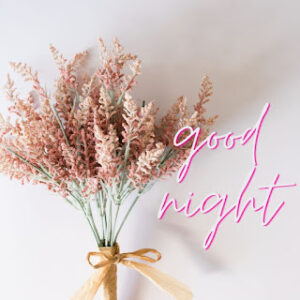 good night 65