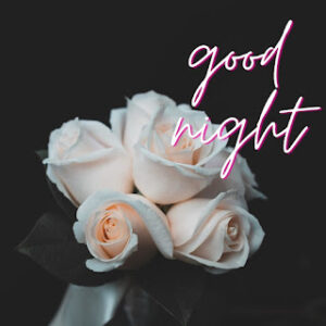 good night 67