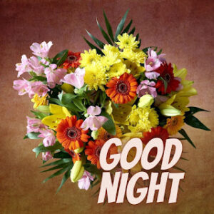 good night 68