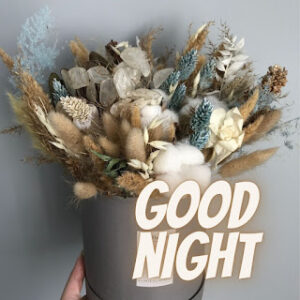 good night 69