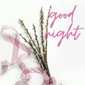 good night 71