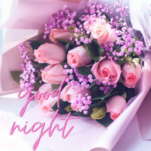 good night 73