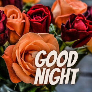good night 74