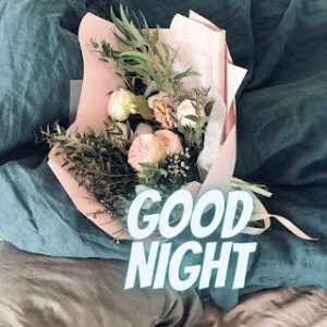 good night 79