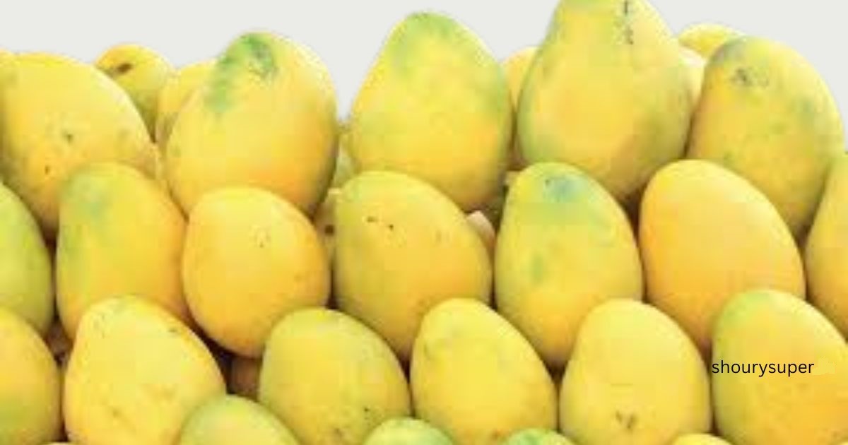 mango