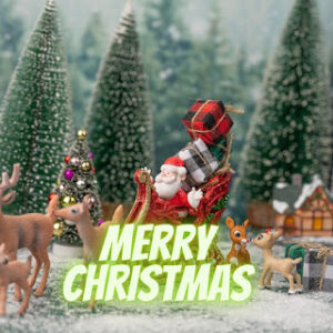 marry christmas 13