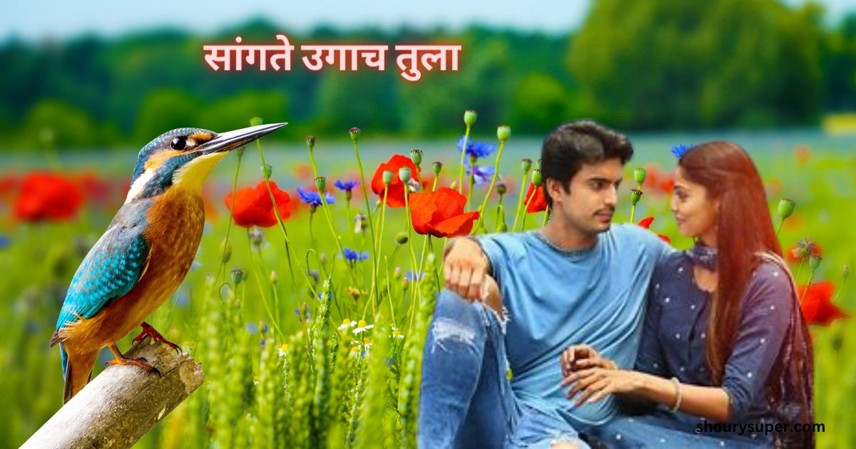 “सांगते उगाच तुला – नात्याचा थकवा”