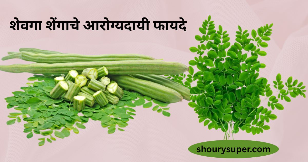शेवगा शेंगाचे आरोग्यदायी फायदे (drumstick )| शेवगा सूप रेसिपी |