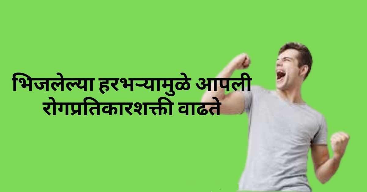 भिजवलेले हरभरा खाण्याचे 7 फायदे